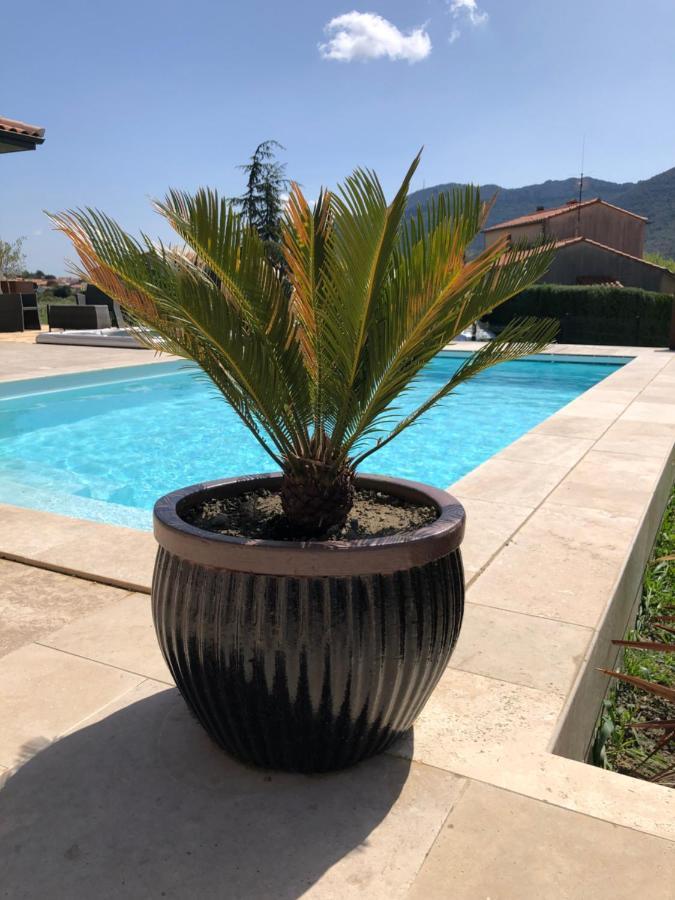 Domaine Mas Terra Bed & Breakfast Сан-Пол-дьо-Фънуе Екстериор снимка